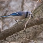 Efforts récompensés